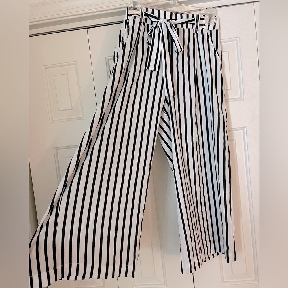 Zara Wide Leg Pants